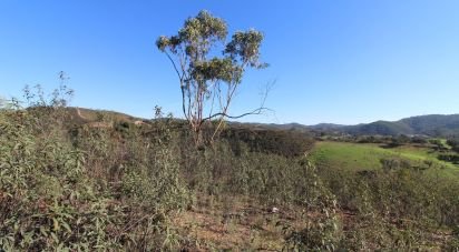 Maison rustique T2 à São Bartolomeu de Messines de 80 m²