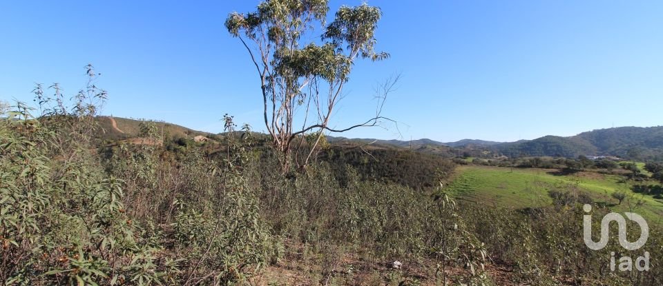 Maison rustique T2 à São Bartolomeu de Messines de 80 m²