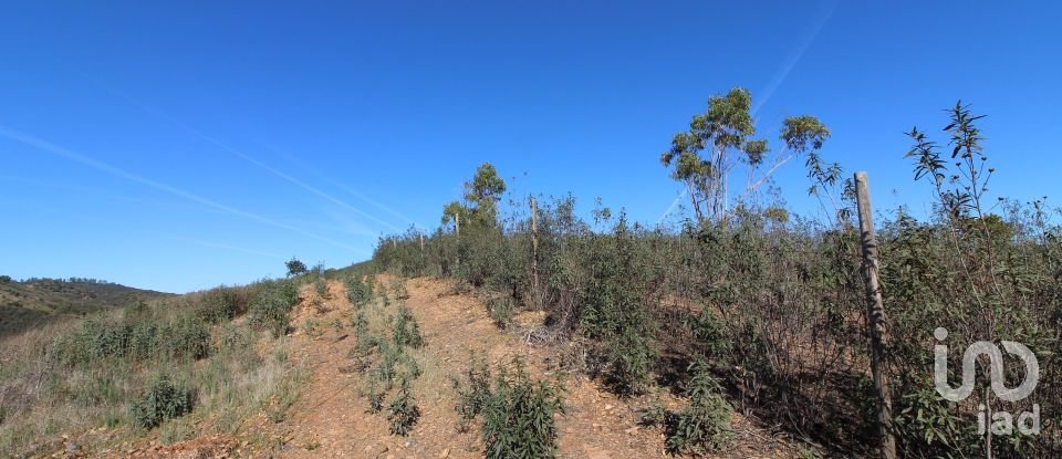 Maison rustique T2 à São Bartolomeu de Messines de 80 m²