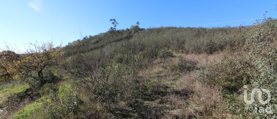 Maison rustique T2 à São Bartolomeu de Messines de 80 m²
