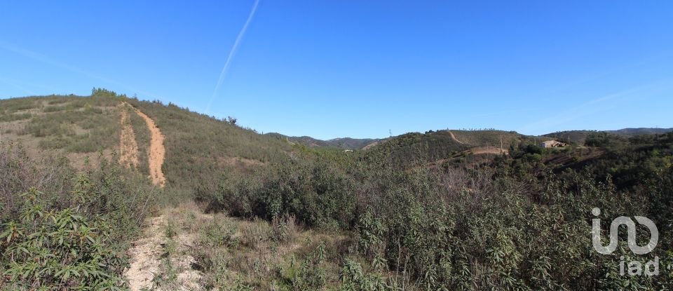 Maison rustique T2 à São Bartolomeu de Messines de 80 m²