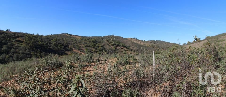 Maison rustique T2 à São Bartolomeu de Messines de 80 m²
