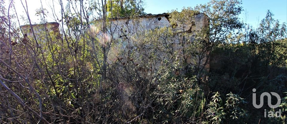 Maison rustique T2 à São Bartolomeu de Messines de 80 m²