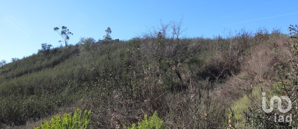 Maison rustique T2 à São Bartolomeu de Messines de 80 m²