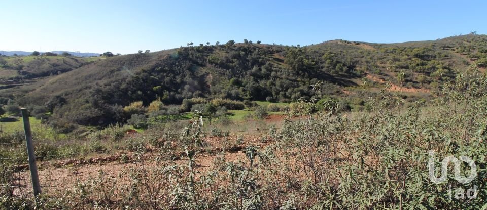 Maison rustique T2 à São Bartolomeu de Messines de 80 m²