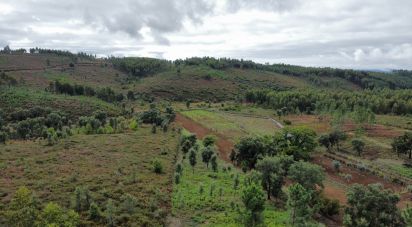 Maison T5 à Sertã de 180 m²