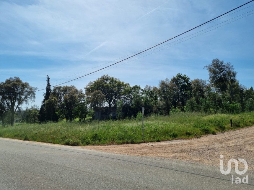 Terreno em Poiares (Santo André) de 1 170 m²