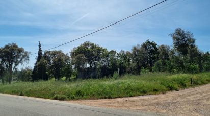 Terrain à Poiares (Santo André) de 1 170 m²