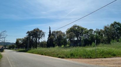 Terrain à Poiares (Santo André) de 1 170 m²