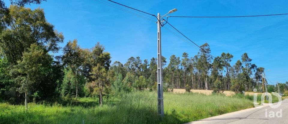 Terreno em Poiares (Santo André) de 1 170 m²