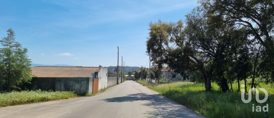 Terreno em Poiares (Santo André) de 1 170 m²