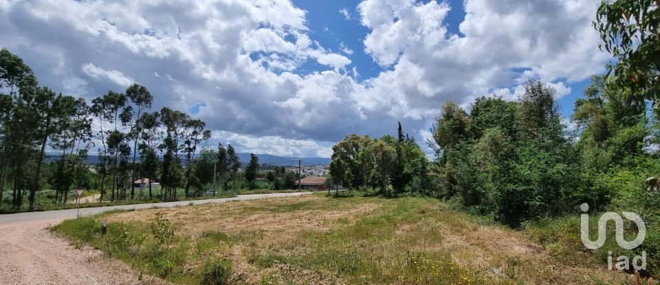 Terreno em Poiares (Santo André) de 1 170 m²