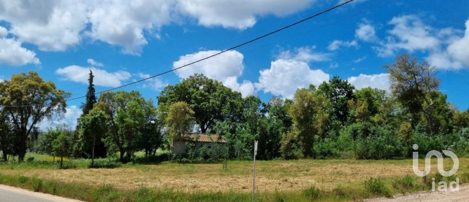 Terreno em Poiares (Santo André) de 1 170 m²