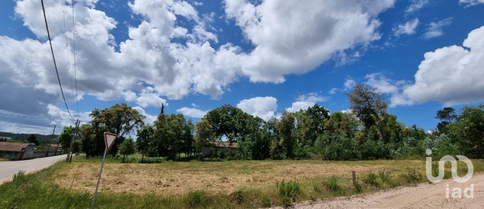 Terreno em Poiares (Santo André) de 1 170 m²