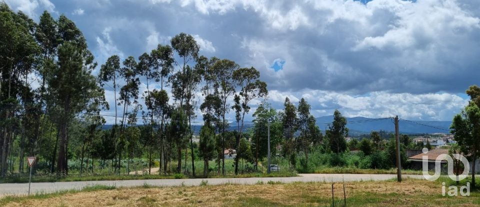 Terreno em Poiares (Santo André) de 1 170 m²