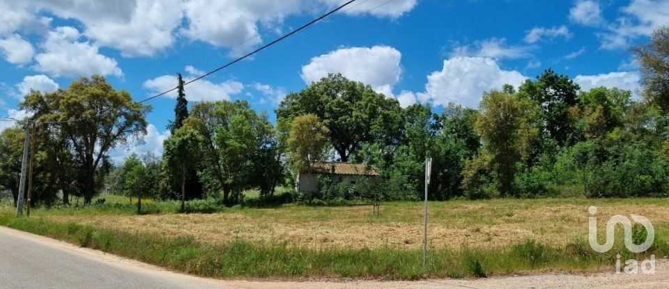 Terreno em Poiares (Santo André) de 1 170 m²