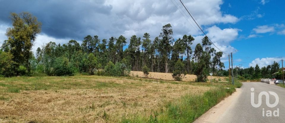 Terreno em Poiares (Santo André) de 1 170 m²