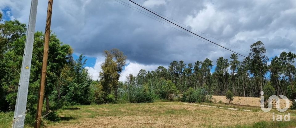 Terreno em Poiares (Santo André) de 1 170 m²