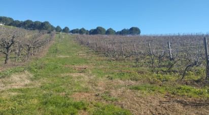 Building plot in Lamas e Cercal of 800 m²