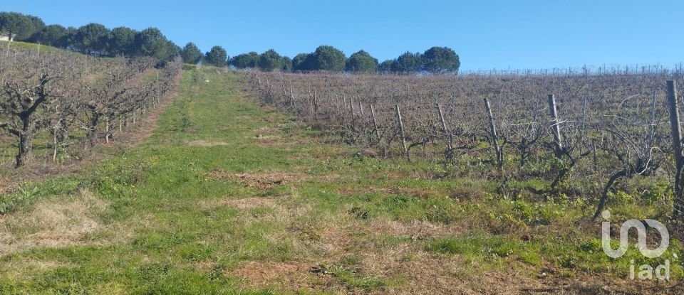 Terreno urbano em Lamas e Cercal de 800 m²
