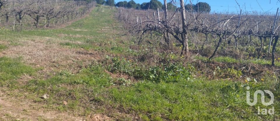 Terreno urbano em Lamas e Cercal de 800 m²