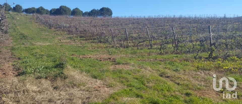 Terreno urbano em Lamas e Cercal de 800 m²