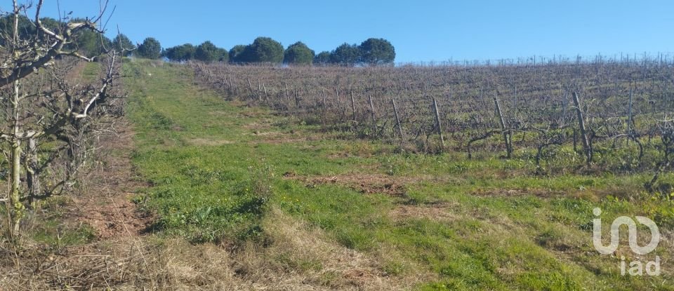 Terreno urbano em Lamas e Cercal de 800 m²