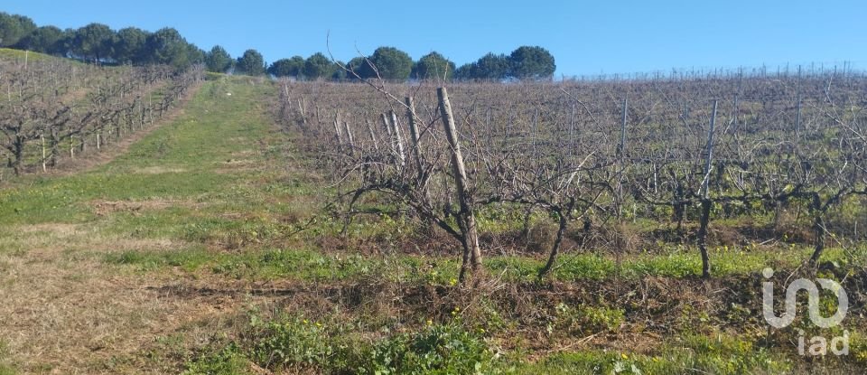 Terreno urbano em Lamas e Cercal de 800 m²
