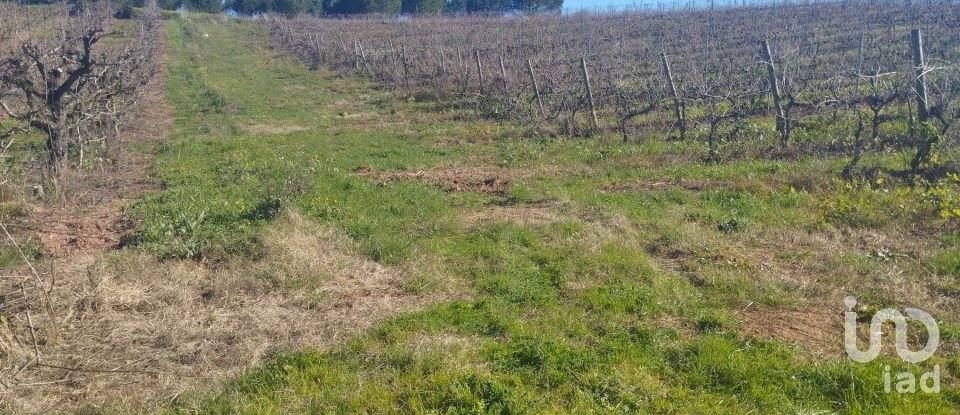 Terreno urbano em Lamas e Cercal de 6 600 m²