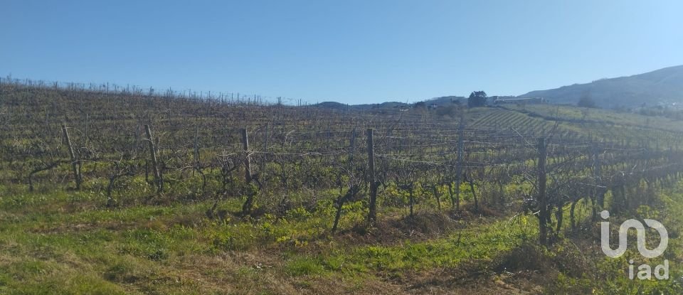 Terreno urbano em Lamas e Cercal de 6 600 m²