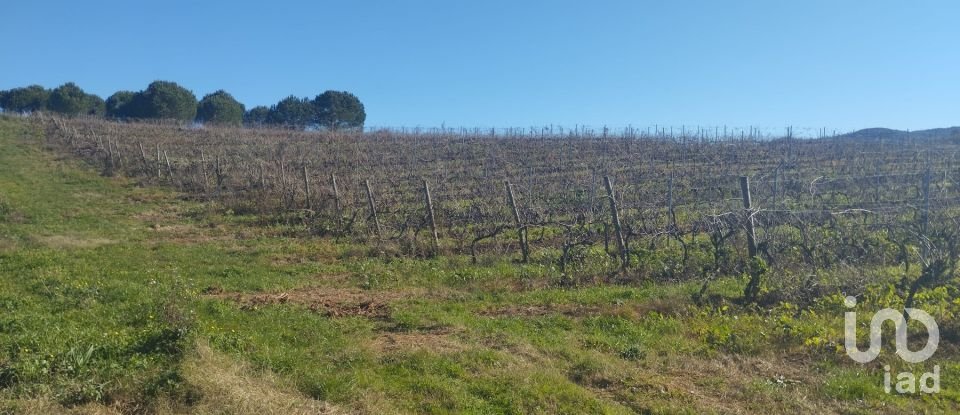 Terreno urbano em Lamas e Cercal de 6 600 m²