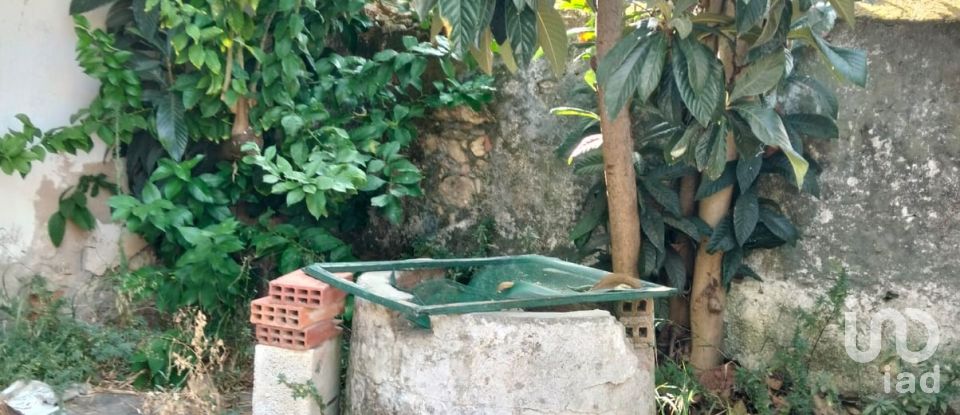 Maison de village T5 à Pedrógão de 229 m²