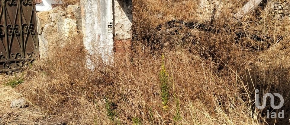 Maison de village T5 à Pedrógão de 229 m²