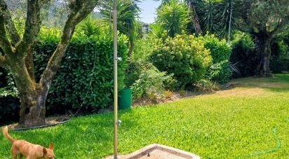 Hôtel-restaurant à Correlhã de 940 m²