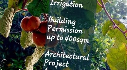 Terrain à Castelo de 1 600 m²