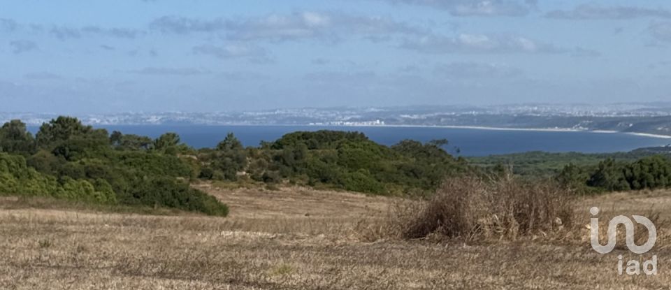 Terreno em Sesimbra (Castelo) de 10 400 m²