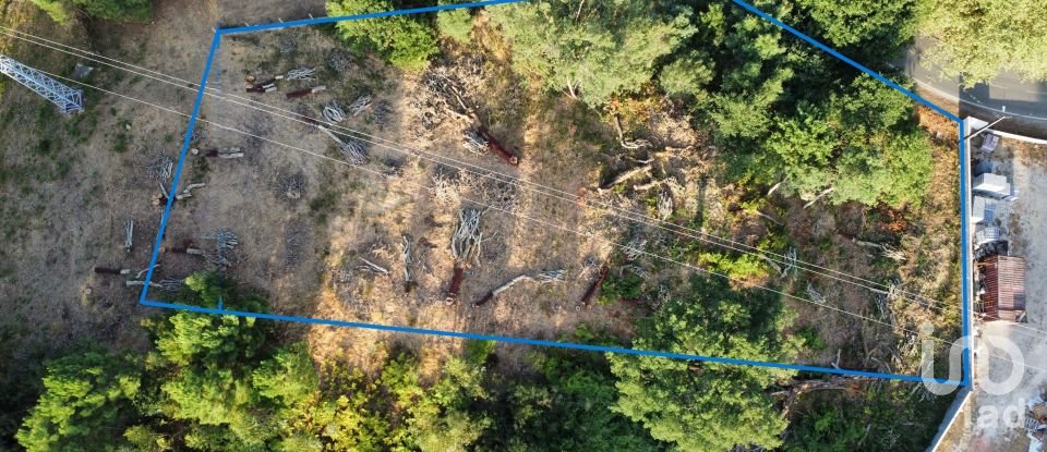 Terreno em Castanheira de Pêra e Coentral de 2 167 m²