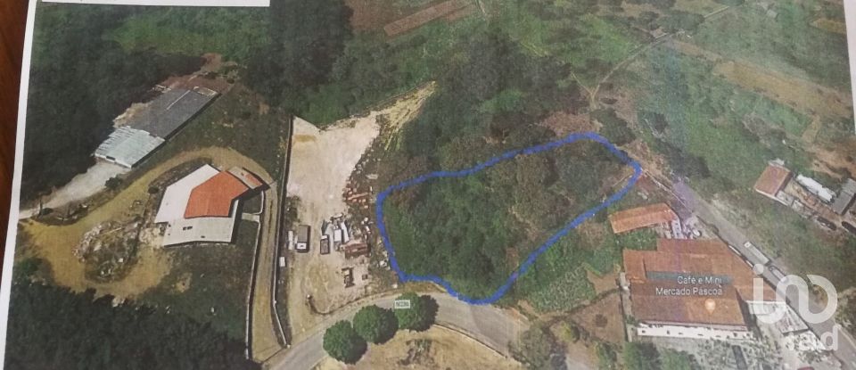 Terreno em Castanheira de Pêra e Coentral de 2 167 m²