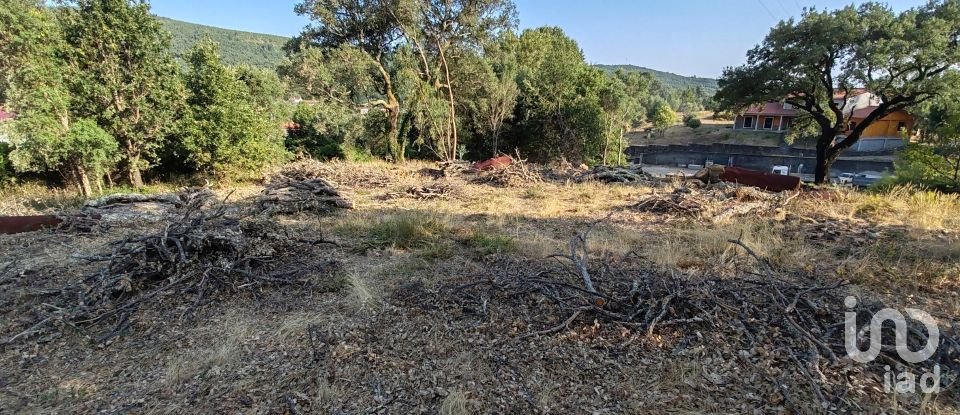 Terreno em Castanheira de Pêra e Coentral de 2 167 m²