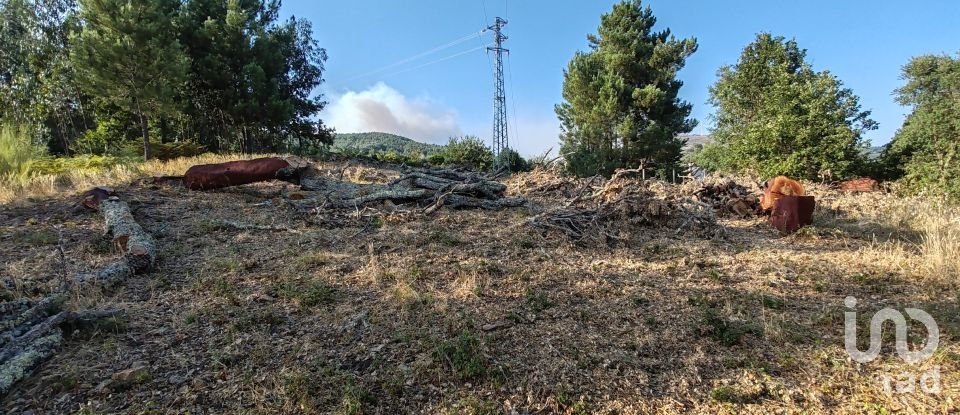 Terreno em Castanheira de Pêra e Coentral de 2 167 m²