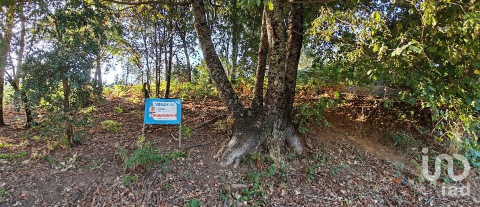 Terreno em Castanheira de Pêra e Coentral de 2 167 m²