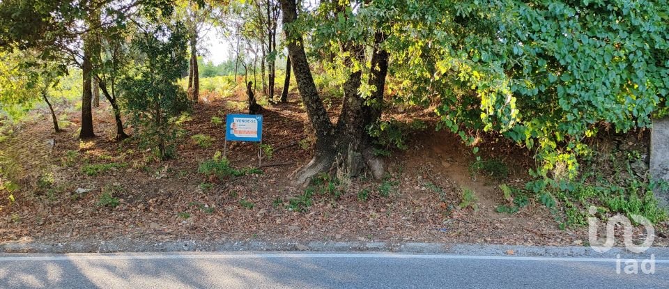Terreno em Castanheira de Pêra e Coentral de 2 167 m²