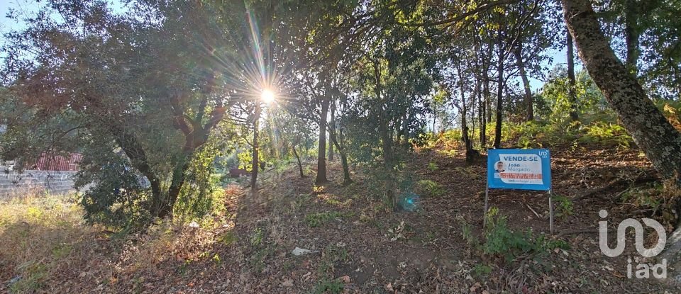 Terreno em Castanheira de Pêra e Coentral de 2 167 m²