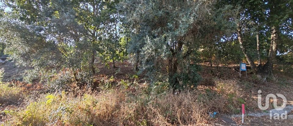 Terreno em Castanheira de Pêra e Coentral de 2 167 m²