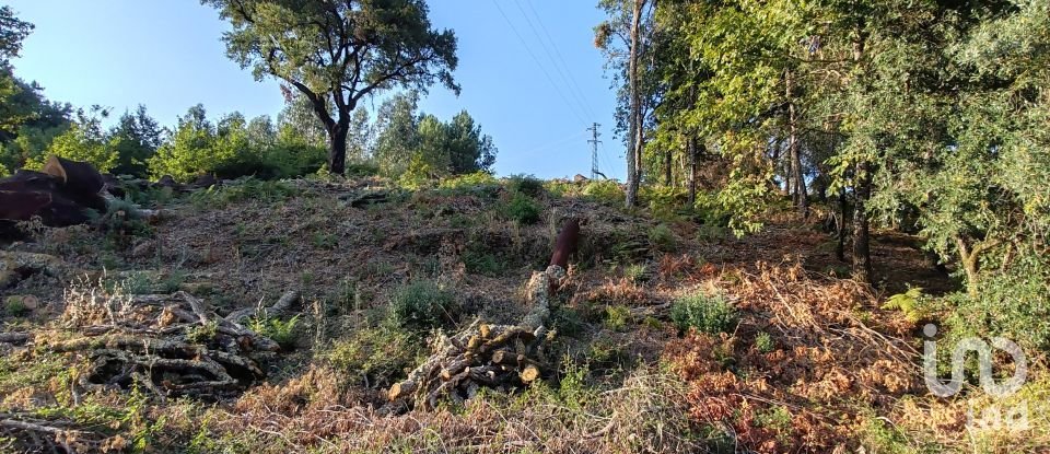Terreno em Castanheira de Pêra e Coentral de 2 167 m²