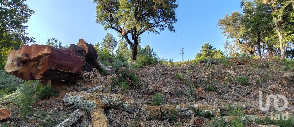 Terreno em Castanheira de Pêra e Coentral de 2 167 m²