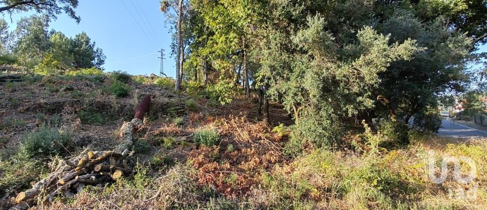 Terreno em Castanheira de Pêra e Coentral de 2 167 m²