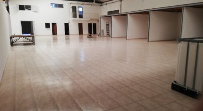 Pavillon T0 à Areias e Pias de 1 200 m²