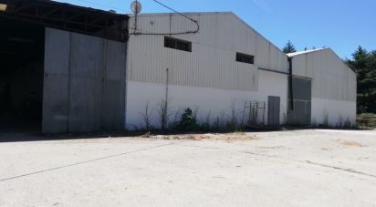 Pavillon T0 à Areias e Pias de 1 200 m²