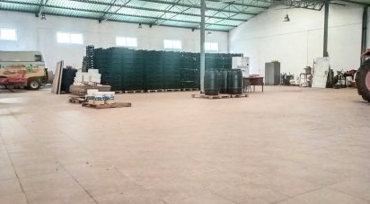 Pavillon T0 à Areias e Pias de 1 200 m²